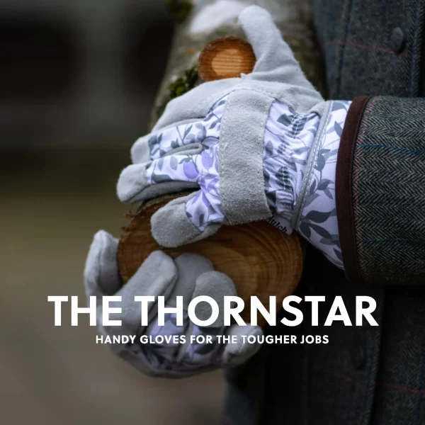Thornstar Gloves
