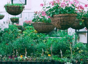 Creating a Hanging Basket