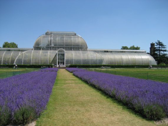 Kew Garden UK We Visited