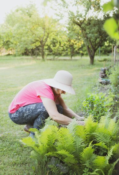 Pruning in the garden